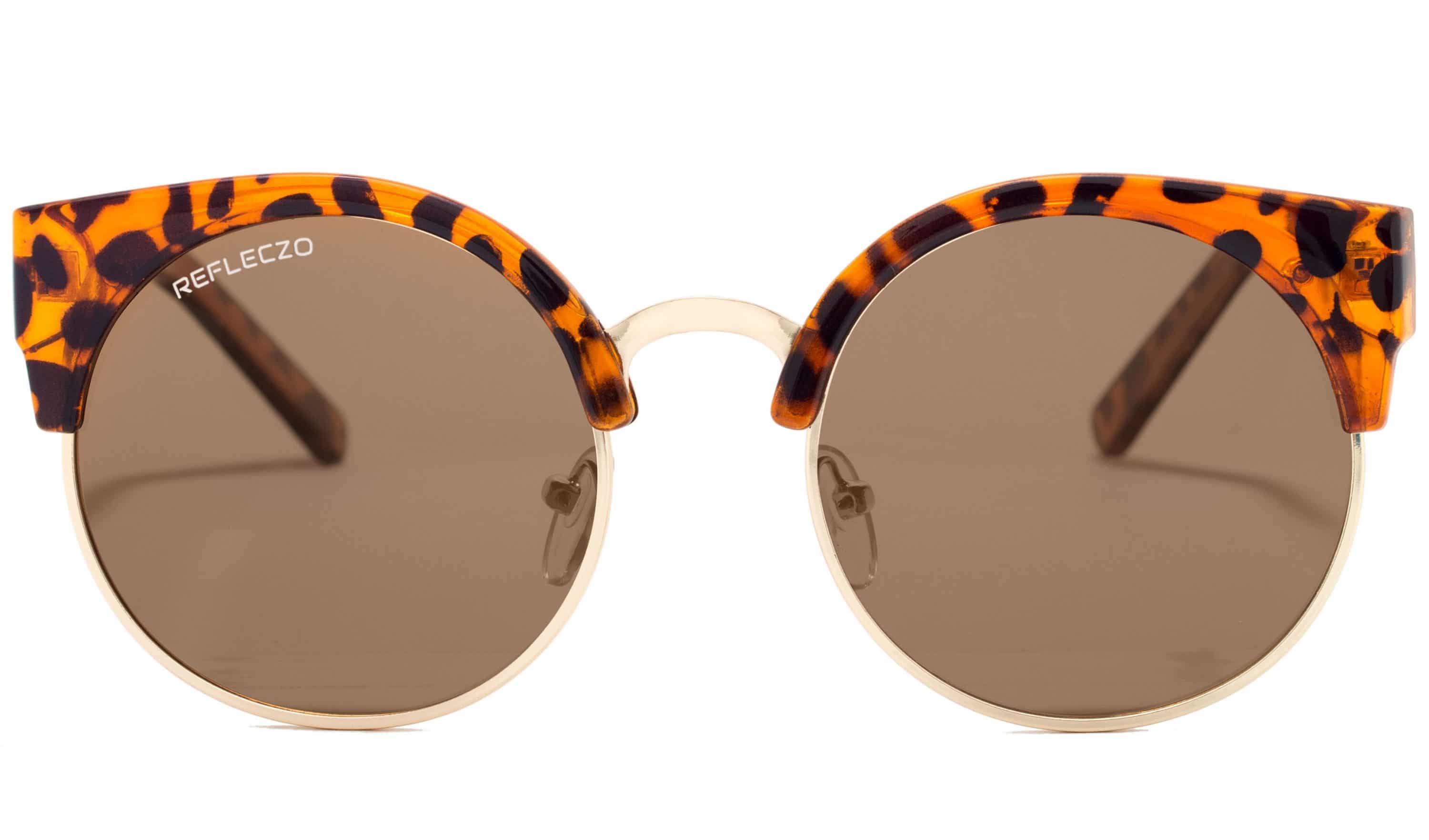 CatClassic Havana